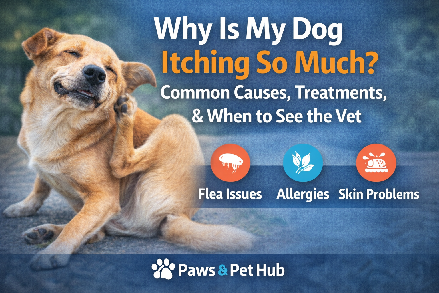 Why Is My Dog Itching? 5 Common Causes and How to Help