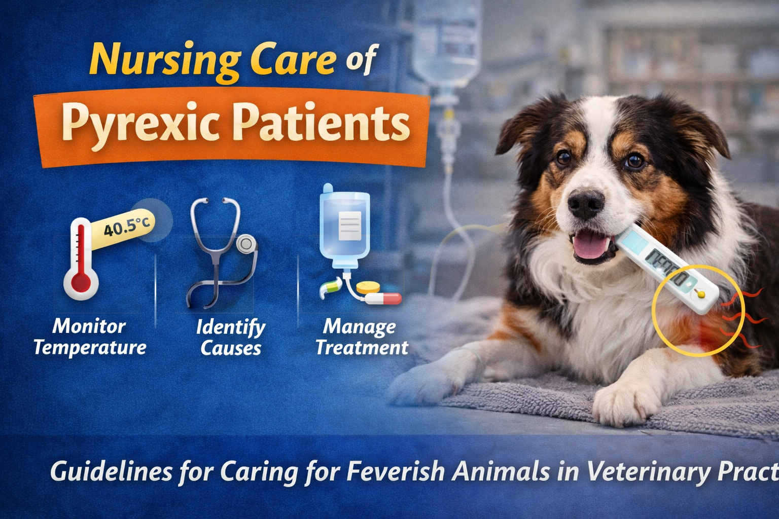 Nursing Care for Pyrexic Patients: Best Practices for Veterinary Nurses
