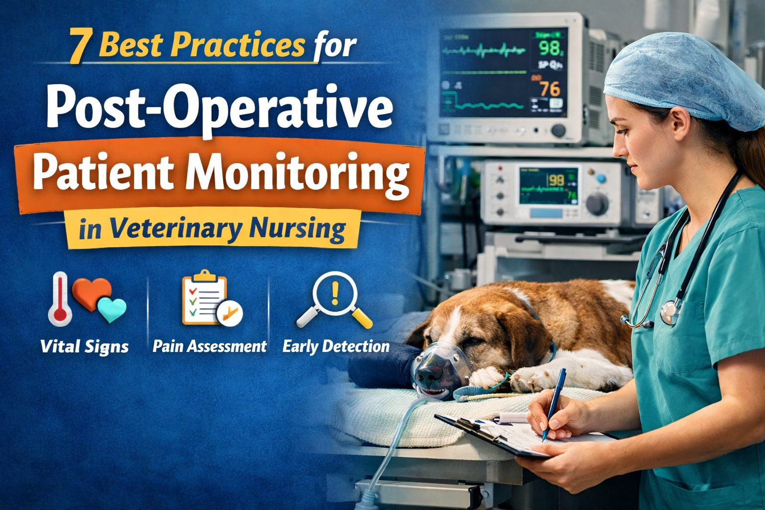 7 Best Practices for Post-Operative Patient Monitoring in Veterinary Nursing